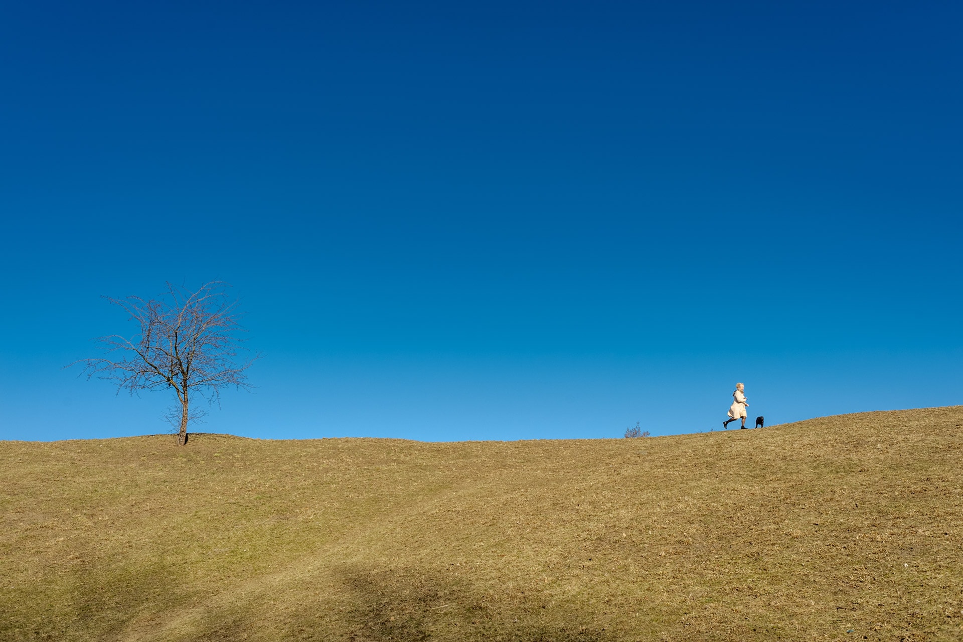 zdjęcia wiosny kanak