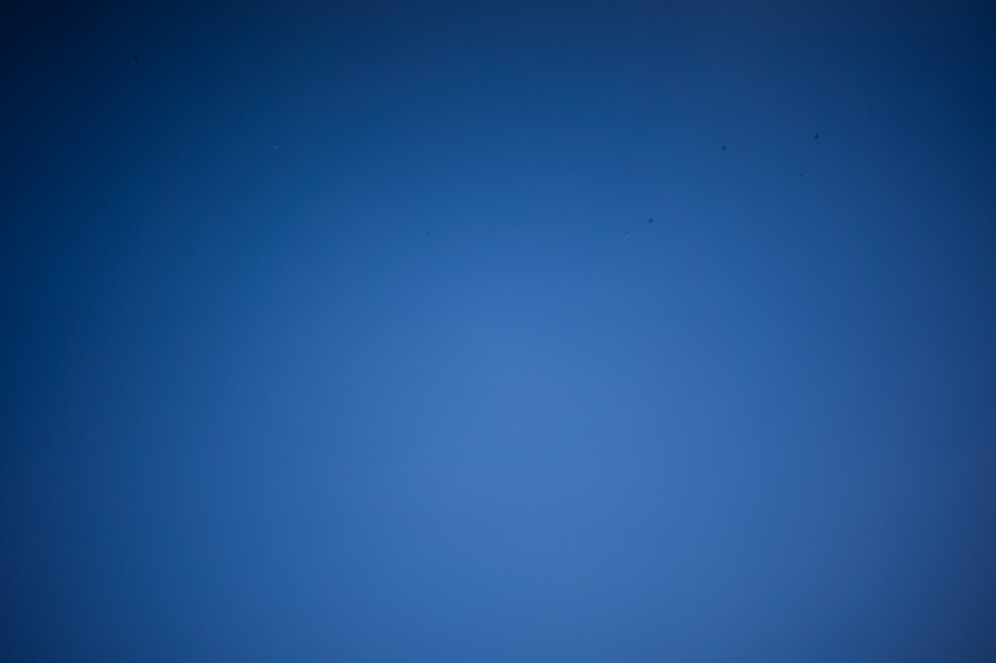 Winieta voigtlander Lanthar 50mm