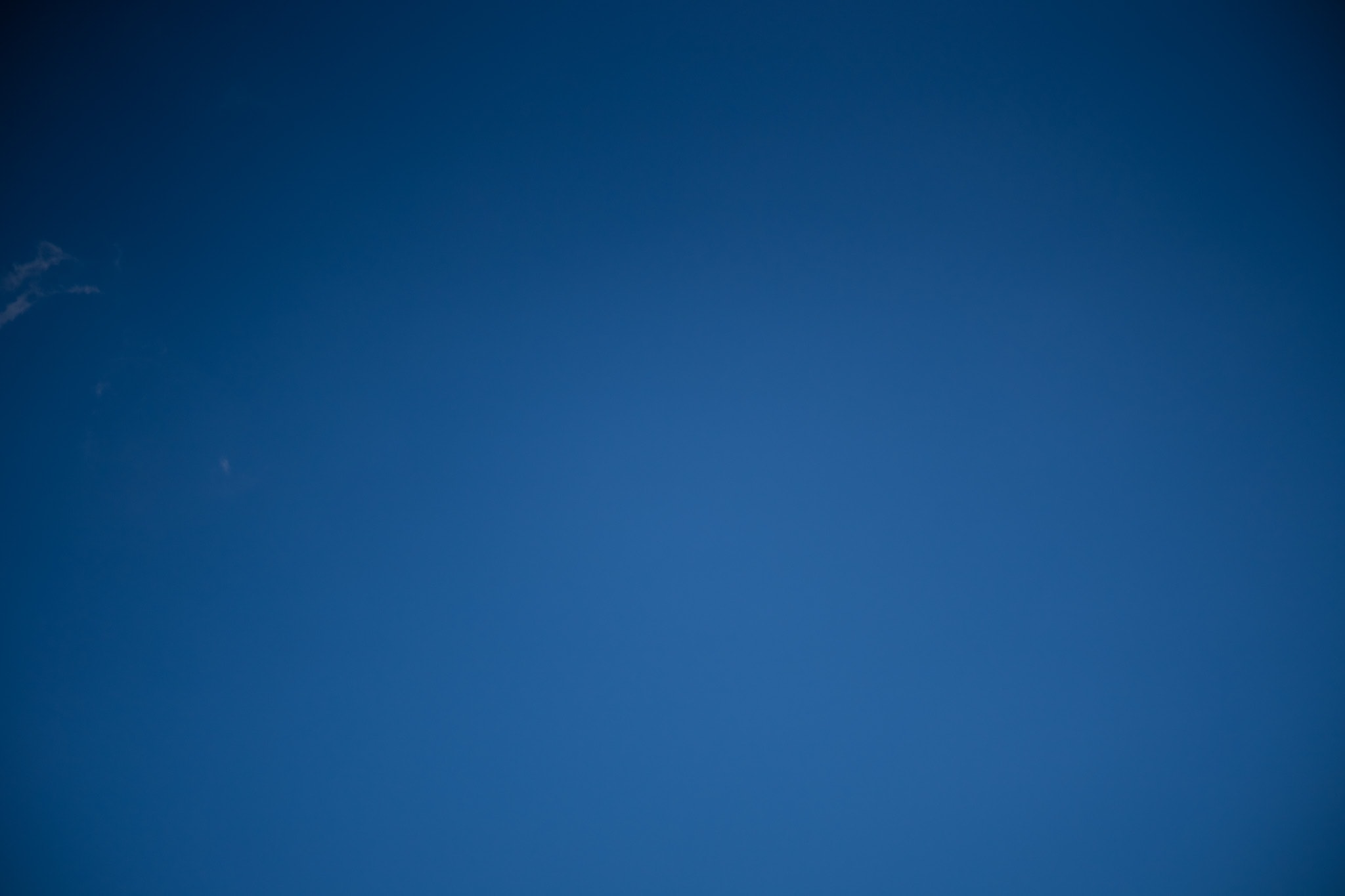 winieta w Zeiss Planar 50/2