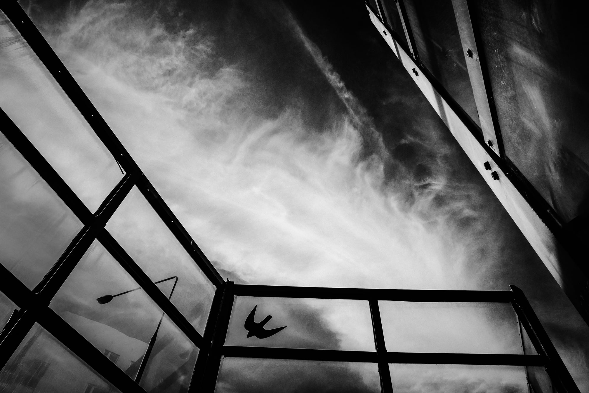 Women street photographers