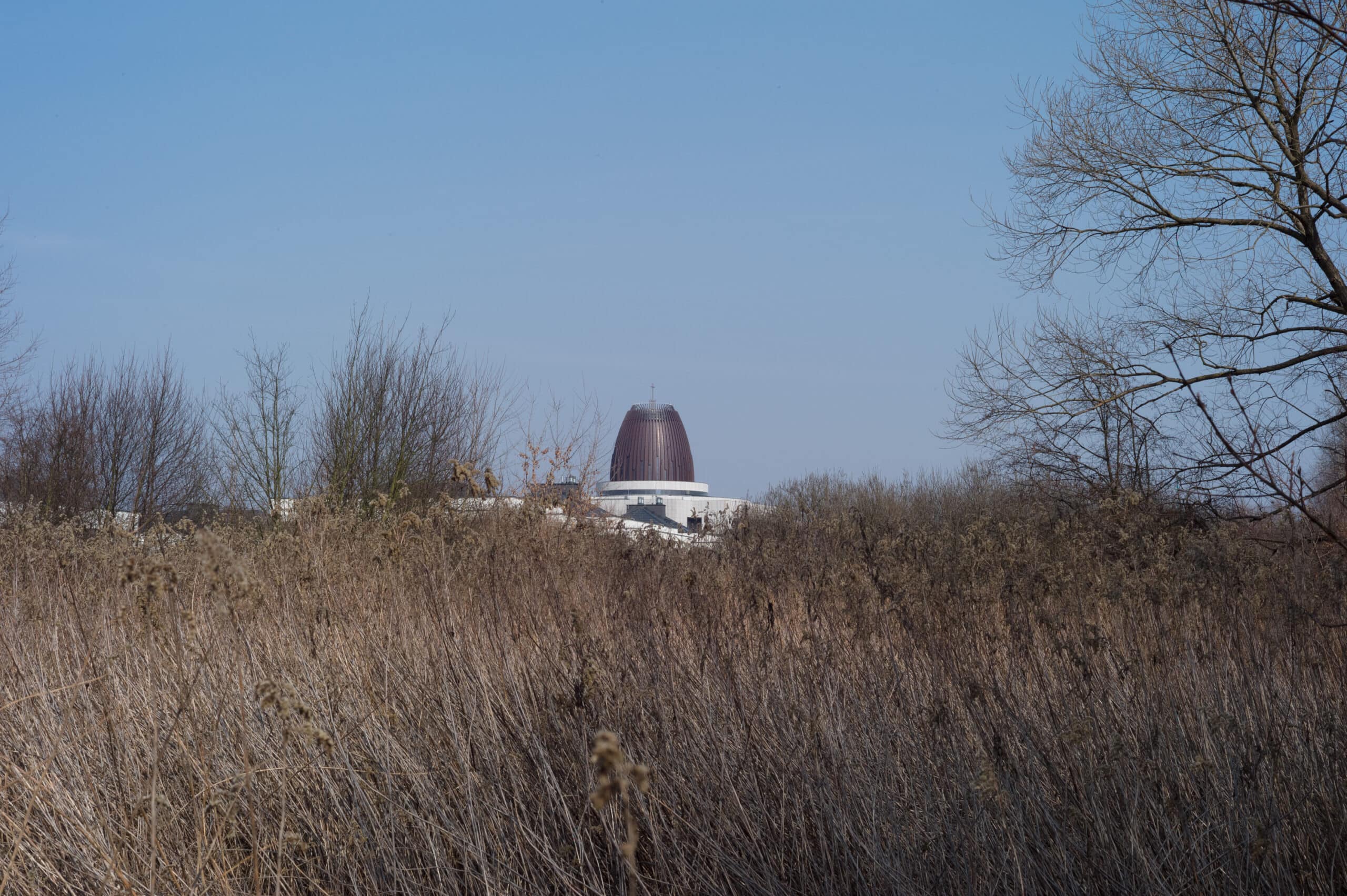 Nokton 50mm f/1.5 aspherical