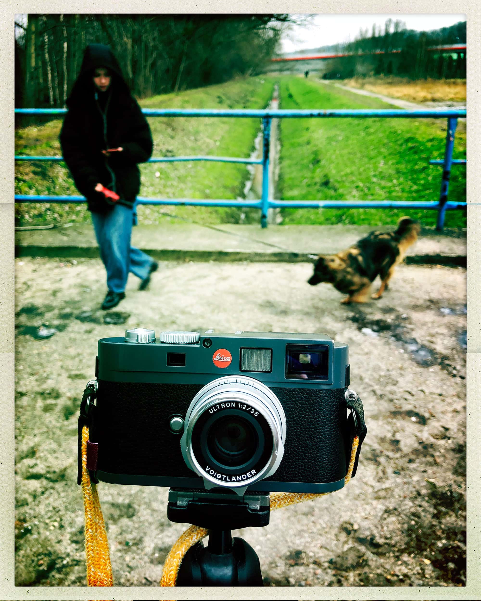 Voigtlander Ultron 35 mm f/2 aspherical II