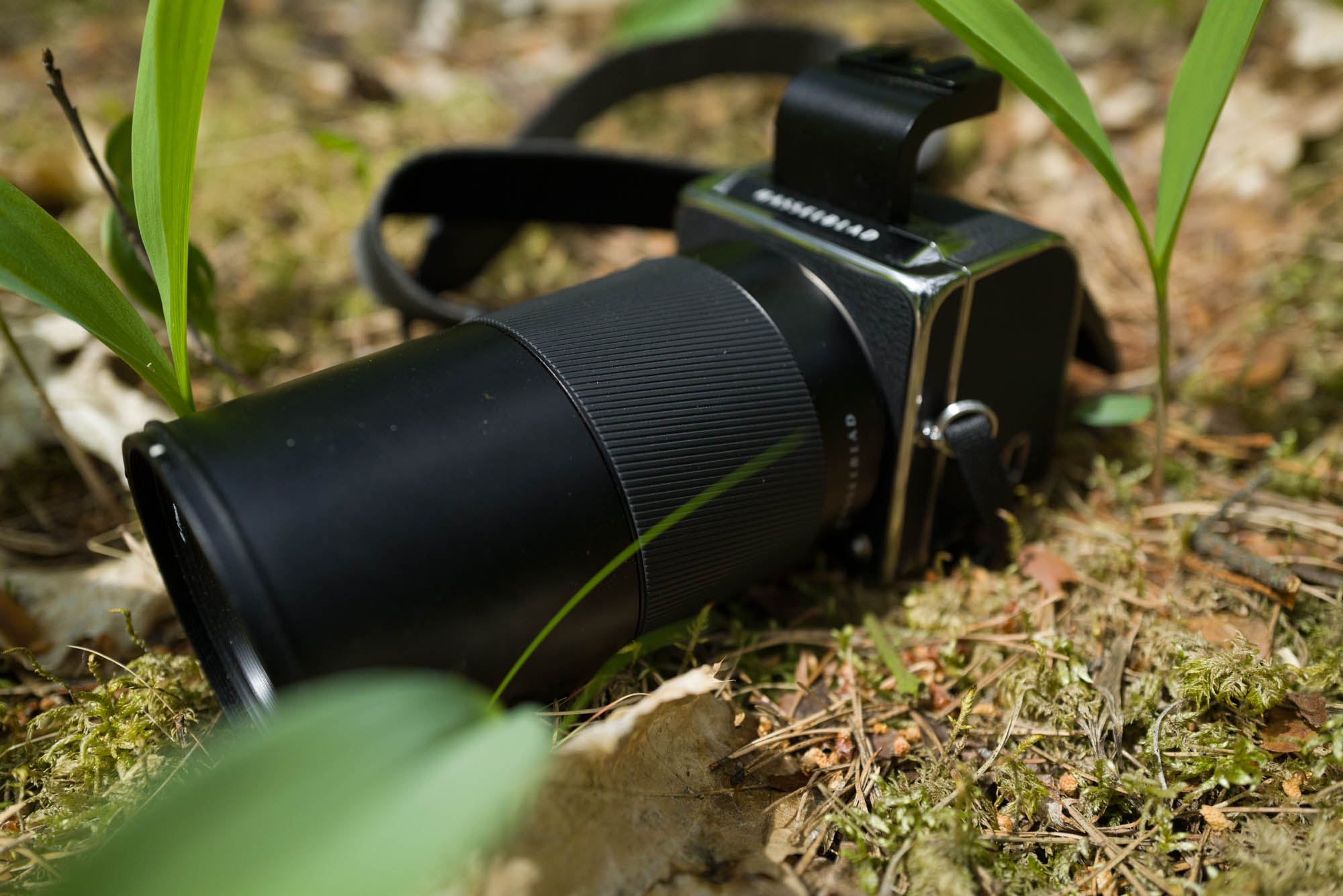 Hasselblad XCD Macro 120 mm