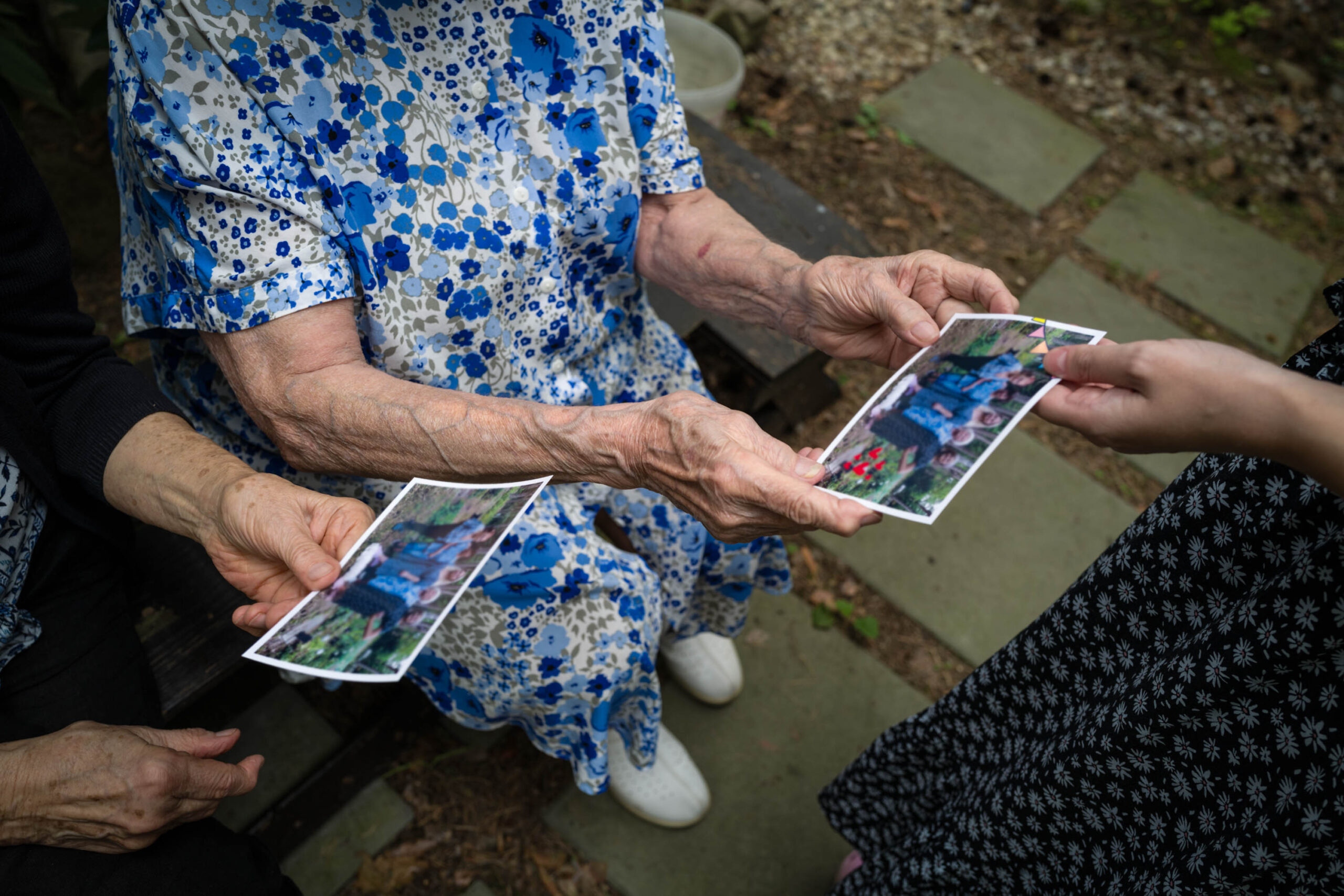 Canon shelphy cp1500