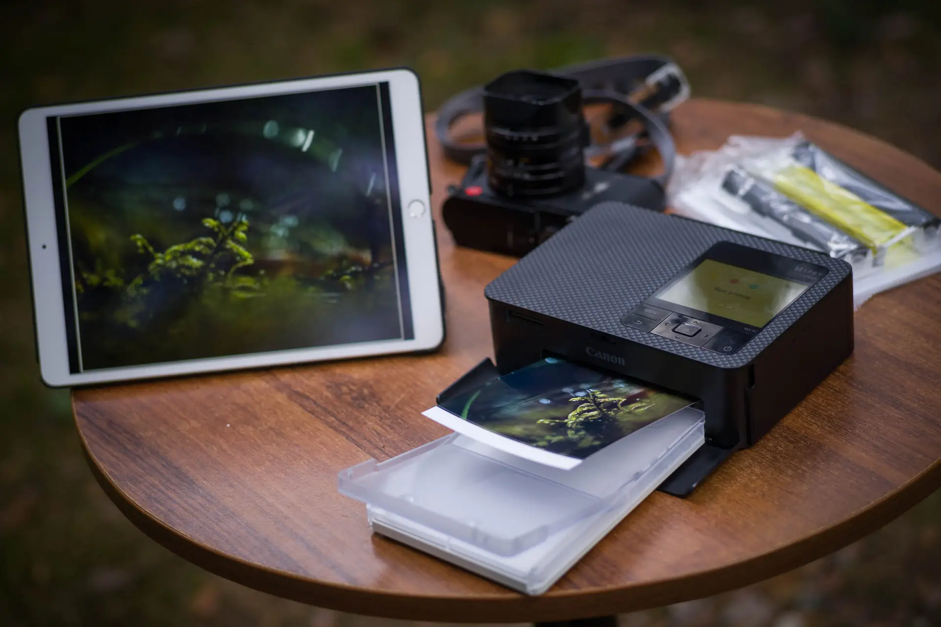 Canon shelphy cp1500