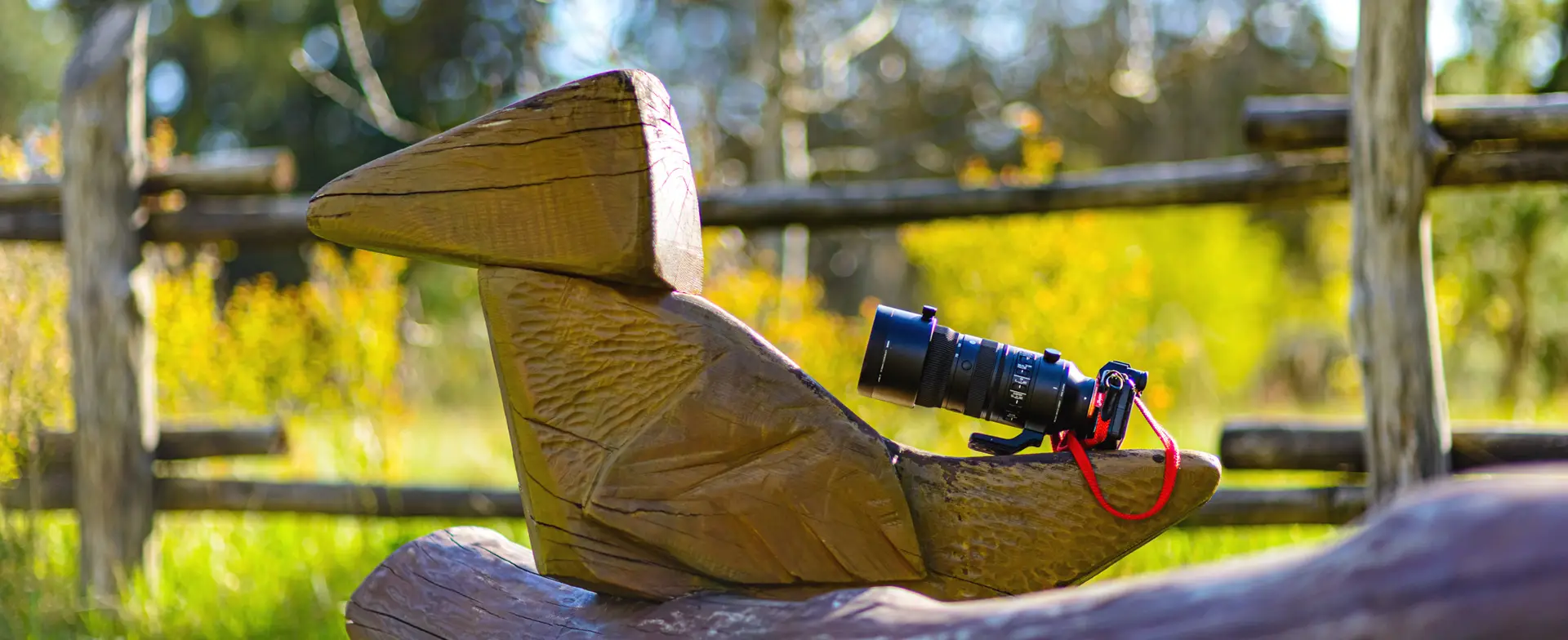 SIGMA 70-200 mm F2.8 DG OS HSM Sports – obiektyw sprawdzony w „praniu”